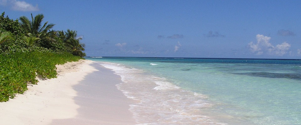 Beach Blue Ocean